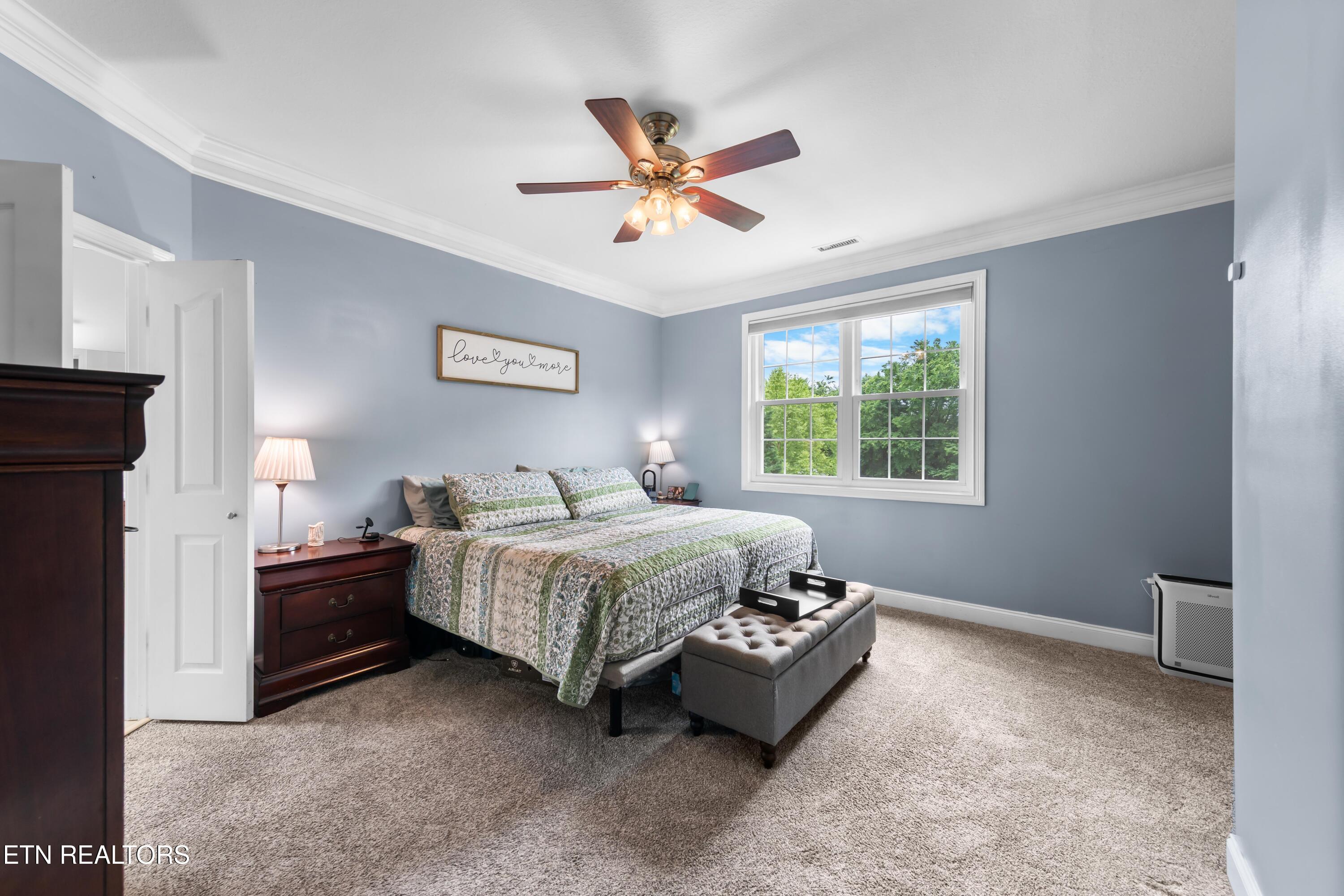 8111 Campbells Point Road Corryton, TN 37721 - Photo 22 of 39 030A0146