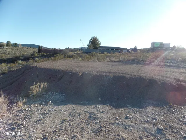 a view of a dry yard