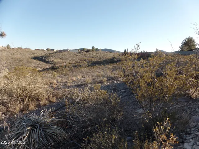 a view of city and mountain