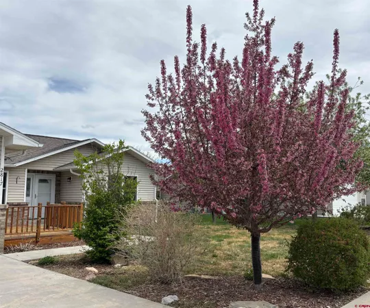a backyard of a house