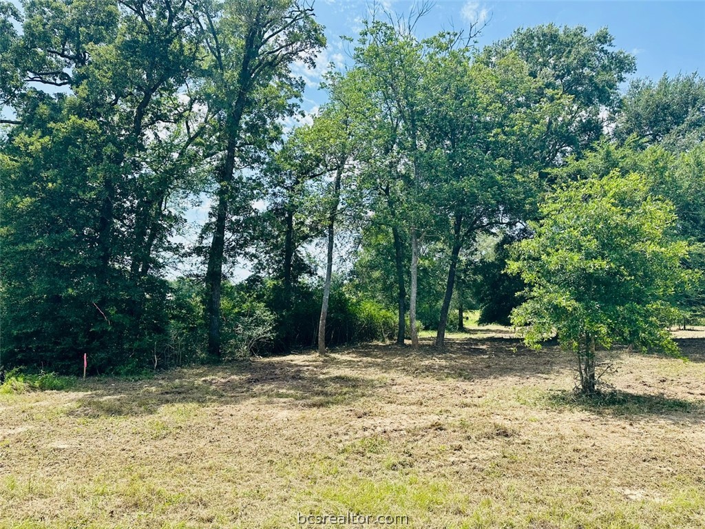 9805 Durham Road Iola, TX 77861 - Photo 6 of 19