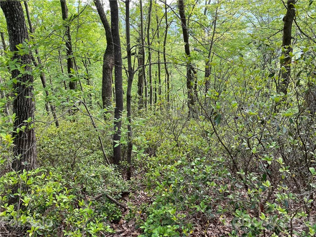 88 Bolt Road Lake Lure, NC 28746 - Photo 4 of 6 Gallery Image 4