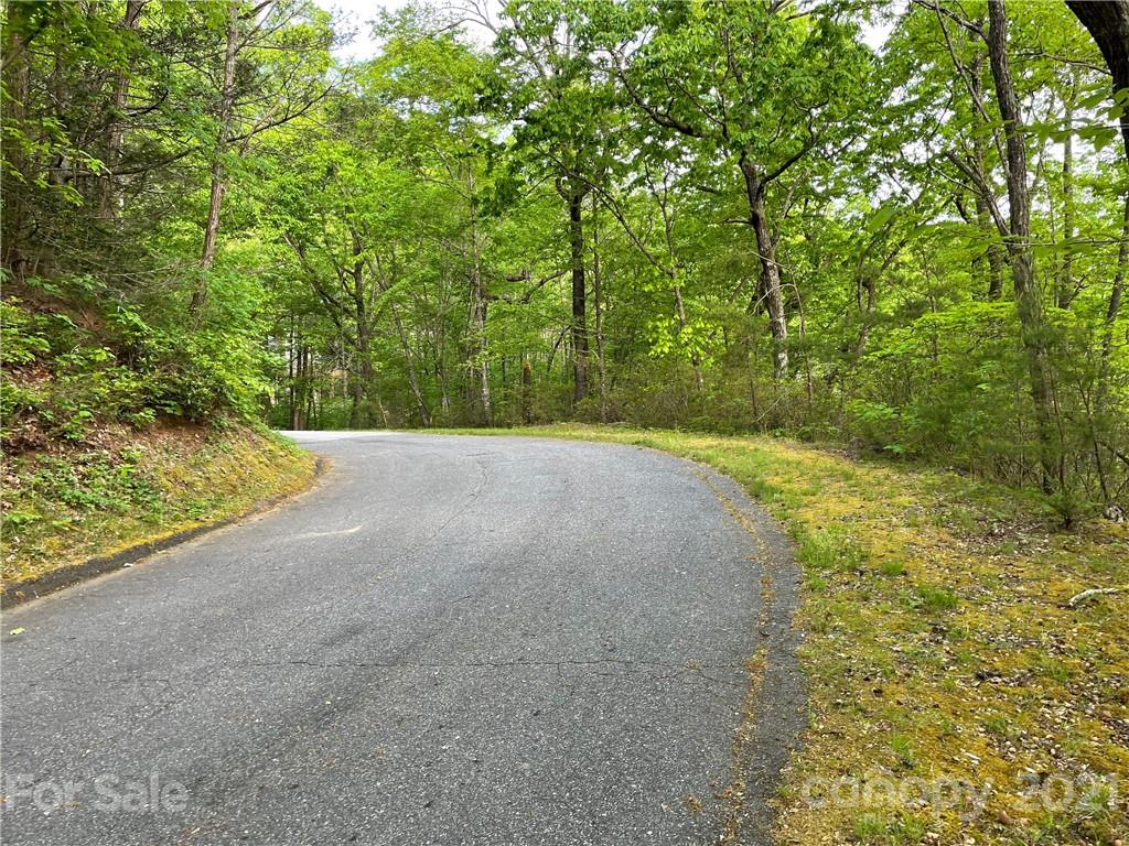 88 Bolt Road Lake Lure, NC 28746 - Photo 5 of 6 Gallery Image 5