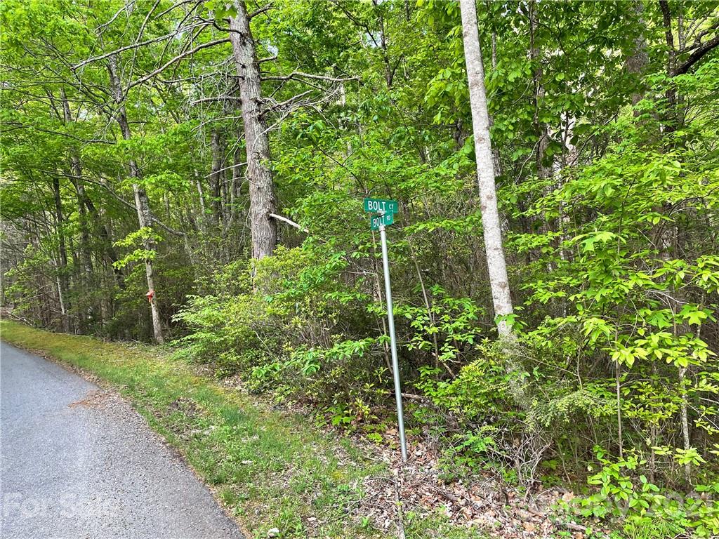 88 Bolt Road Lake Lure, NC 28746 - Photo 6 of 6 Gallery Image 6