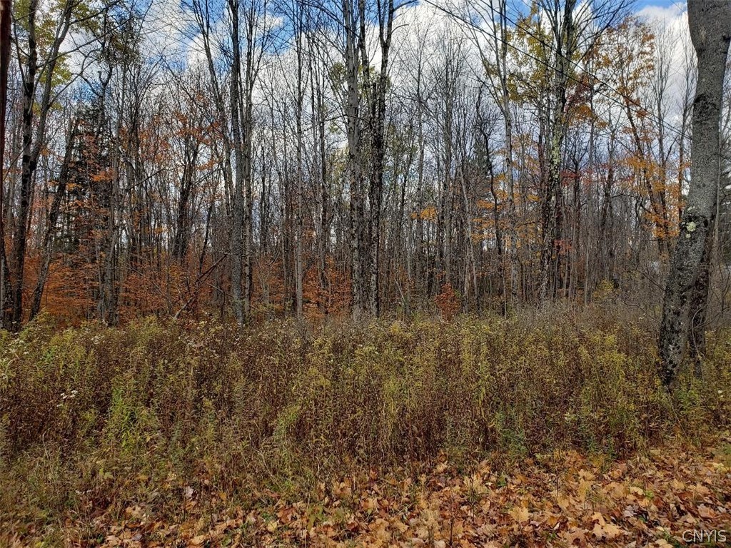 0 Moose River Road Lyons Falls, NY 13368 - Photo 5 of 13 Gallery Image 5