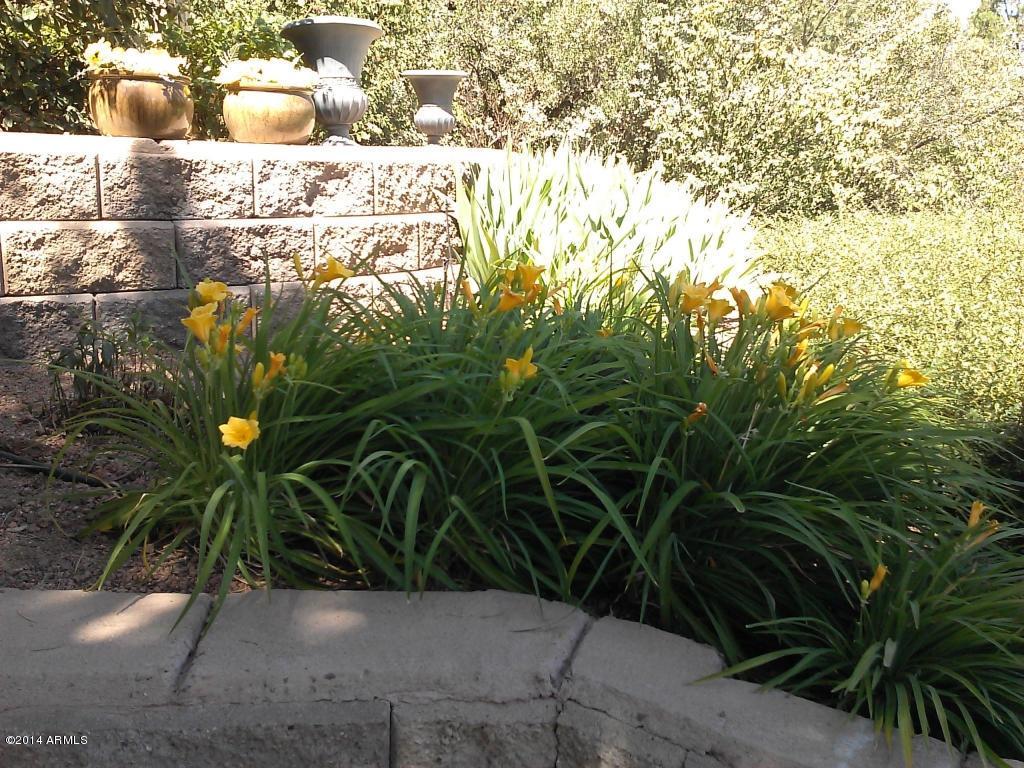 408 West Rim View Road Payson, AZ 85541 - Photo 15 of 16 20141107191152580927000000-o