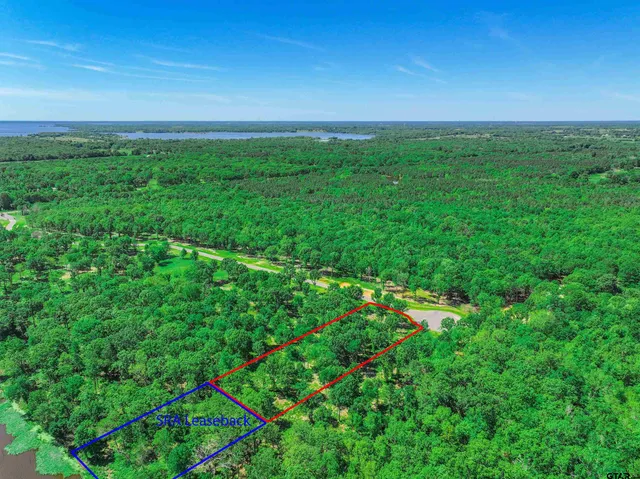 an aerial view of residential houses with outdoor space and trees