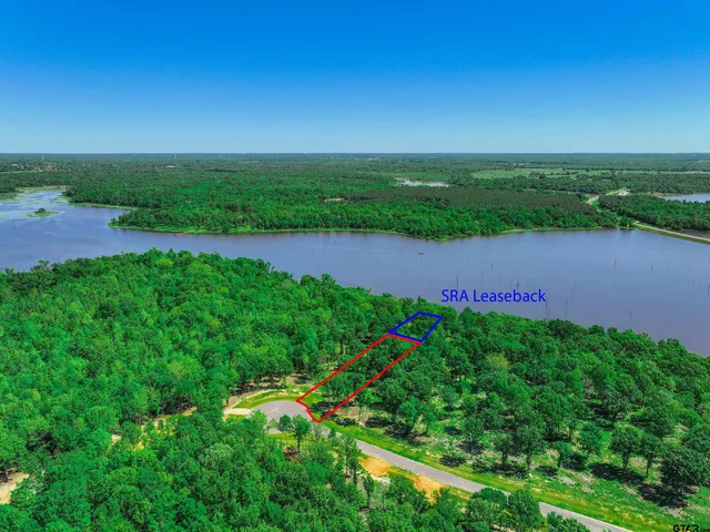 a view of a lake with a city