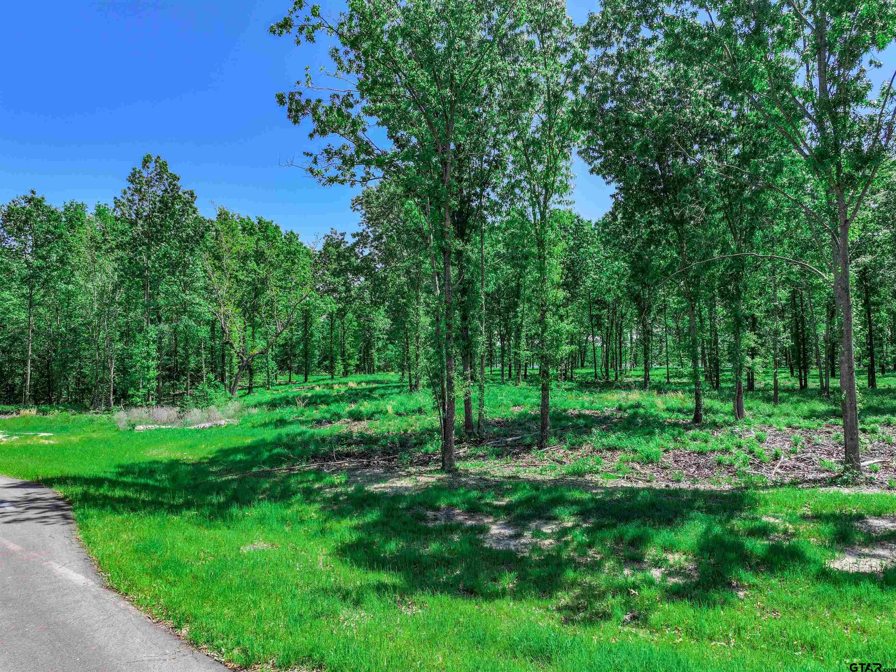 5862 Yantis Tx 75497 Yantis, TX 75497 - Photo 10 of 23 a view of a backyard with a garden