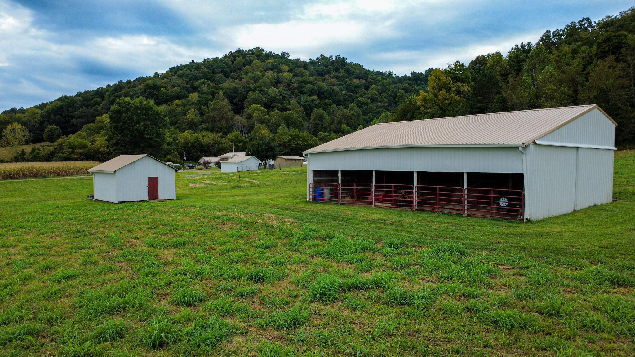 220 F Johnson Road Jamestown, KY 42629 - Photo 3 of 58 Barn