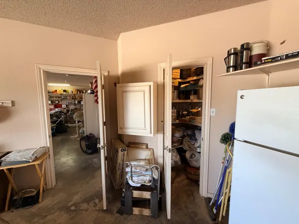 a view of a yard with plants and a bench