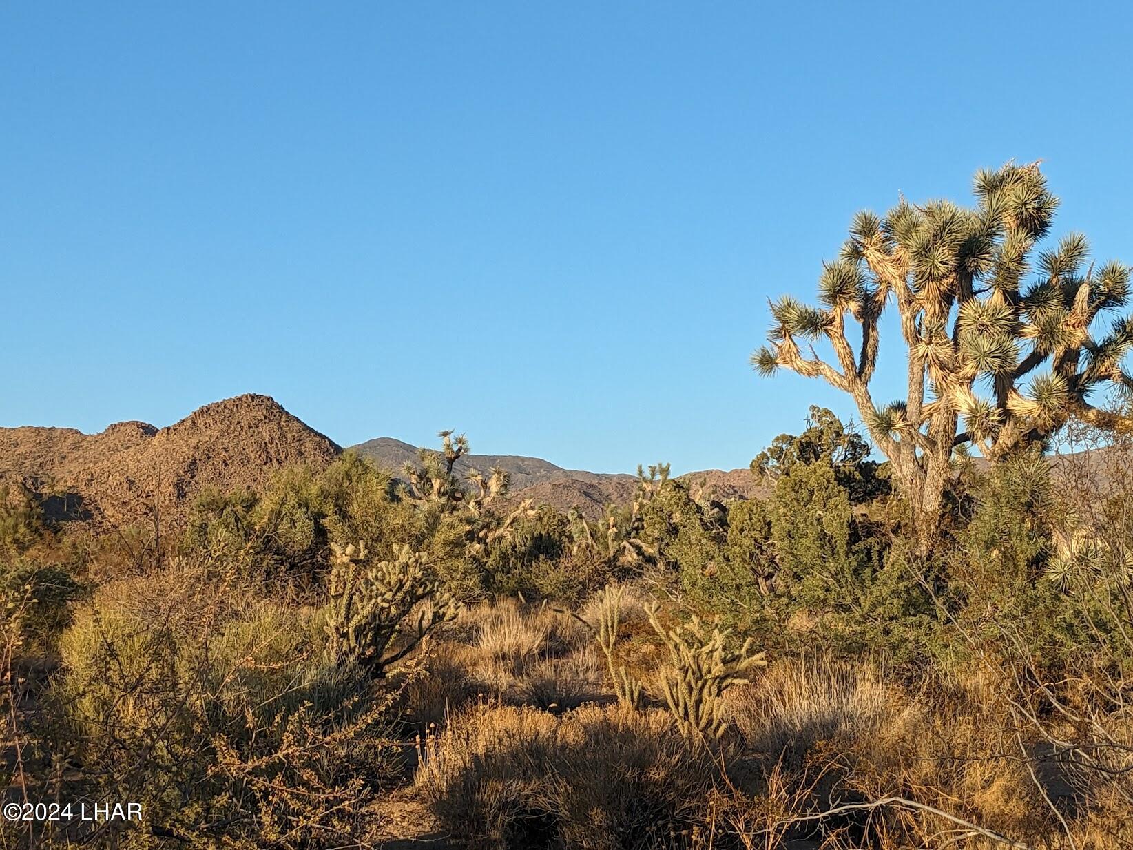 2624 South Gold Mine Road Yucca, AZ 86438 - Photo 21 of 35 Gallery Image 21