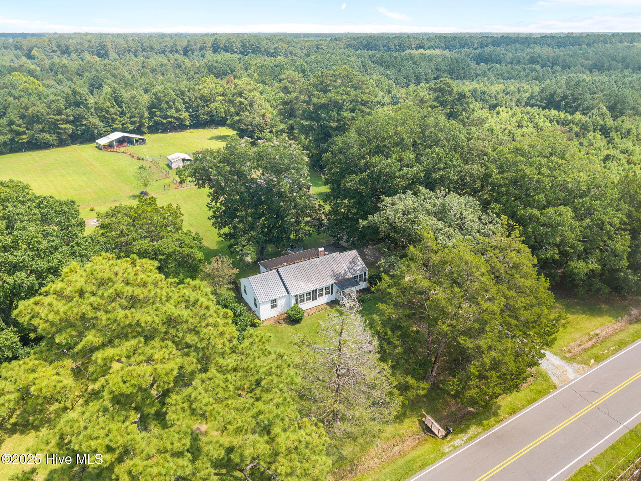 2172 Crooked Run Road Willard, NC 28478 - Photo 47 of 49 13-web-or-mls-DJI_20250825133128_0822_D