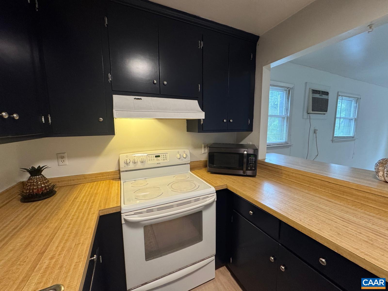 301 Paton Street, Unit A & B Charlottesville, VA 22903 - Photo 15 of 40 a kitchen with a sink and cabinets