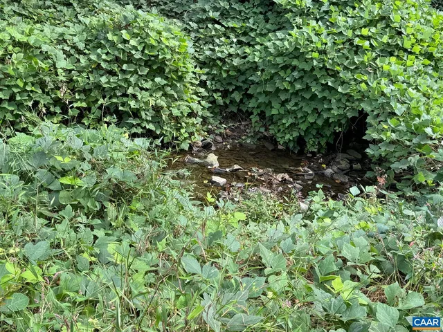 $515,000 | 301 Paton Street, Unit A & B, Charlottesville, VA 22903