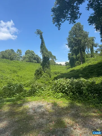 a view of a yard with a house