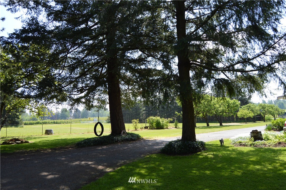 590 West Pole Road Ferndale, WA 98248 - Photo 16 of 40 a view of a park with large trees