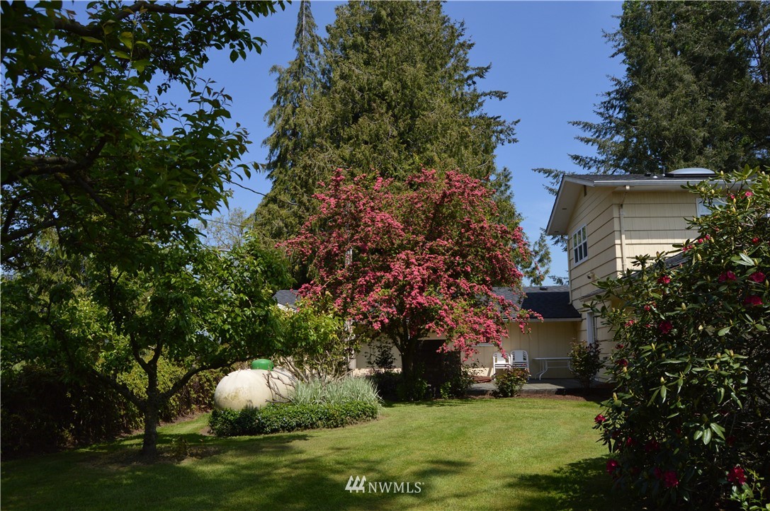 590 West Pole Road Ferndale, WA 98248 - Photo 19 of 40 a view of a backyard with large trees