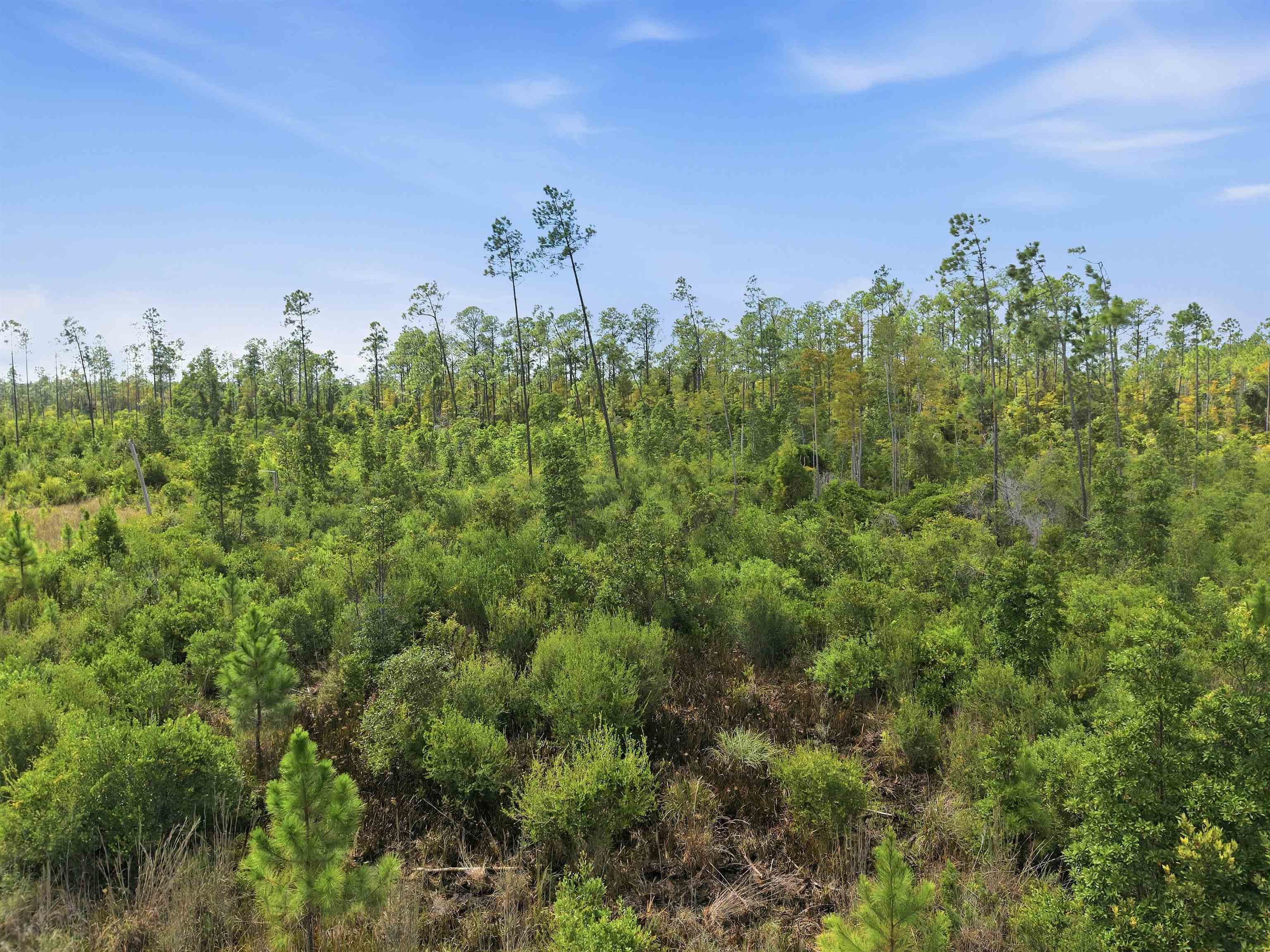 77 Circle Block Loop Perry, FL 32347 - Photo 12 of 22 Gallery Image 12