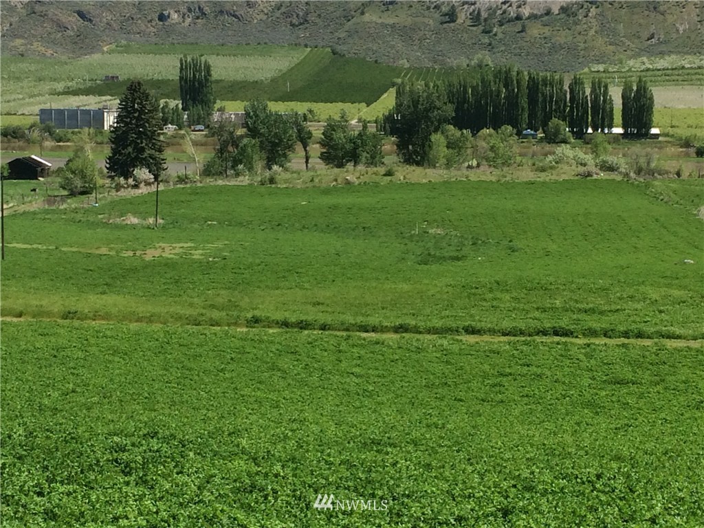 0 Allen Cutoff Road Oroville, WA 98844 - Photo 3 of 4 Gallery Image 3