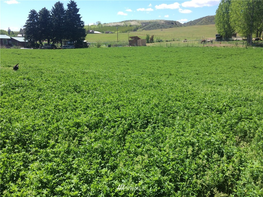 0 Allen Cutoff Road Oroville, WA 98844 - Photo 4 of 4 Gallery Image 4