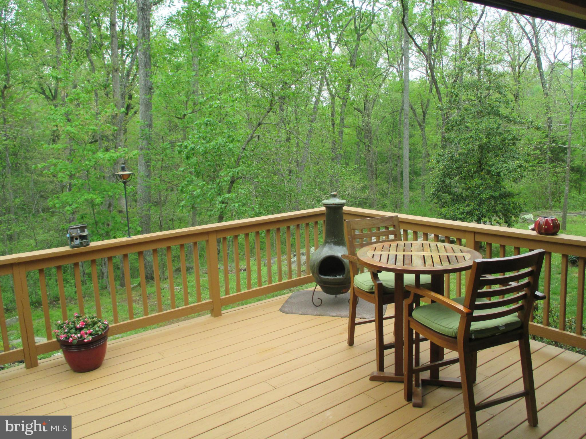 20267 Crooked Run Road Culpeper, VA 22701 - Photo 14 of 29 Exterior (Rear) from deck