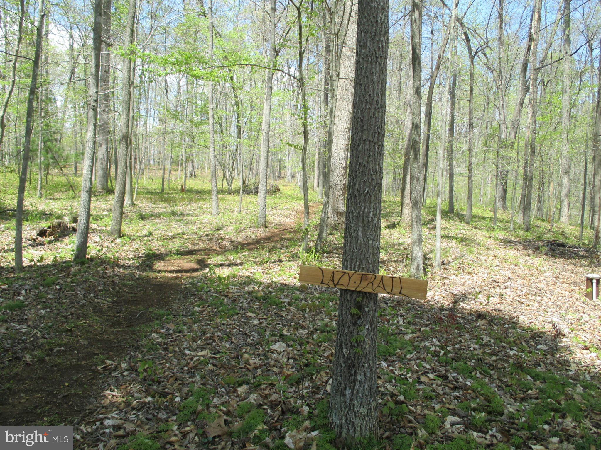 acres and acres of hiking trails