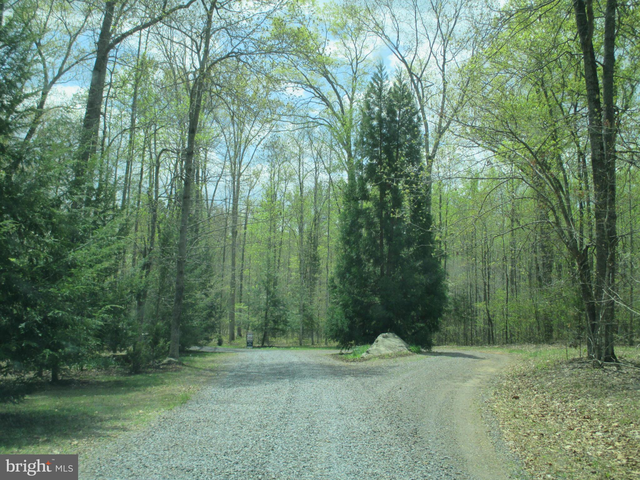 View of road and culdesac