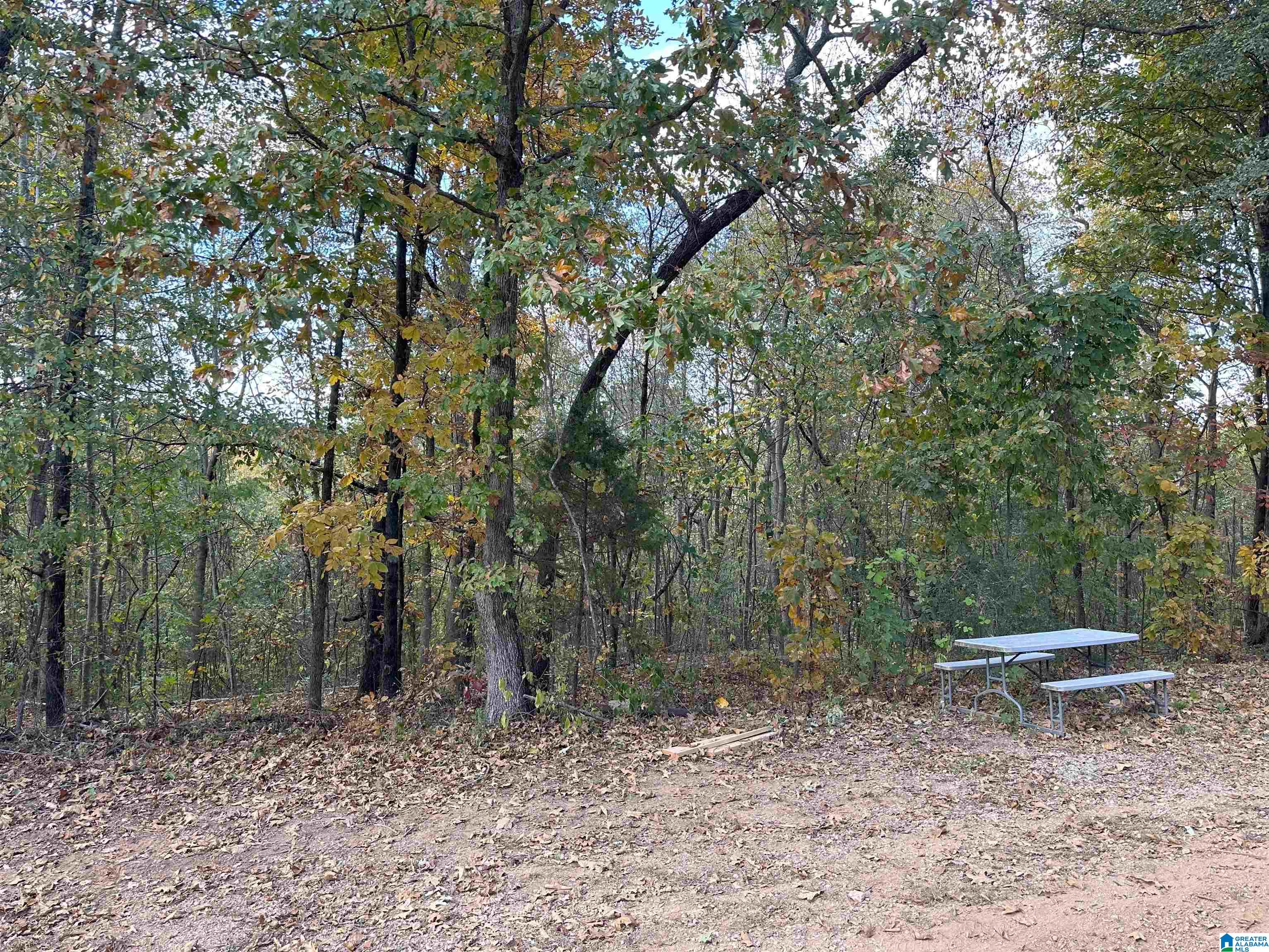 55 Oak Tree Street Cropwell, AL 35054 - Photo 26 of 27