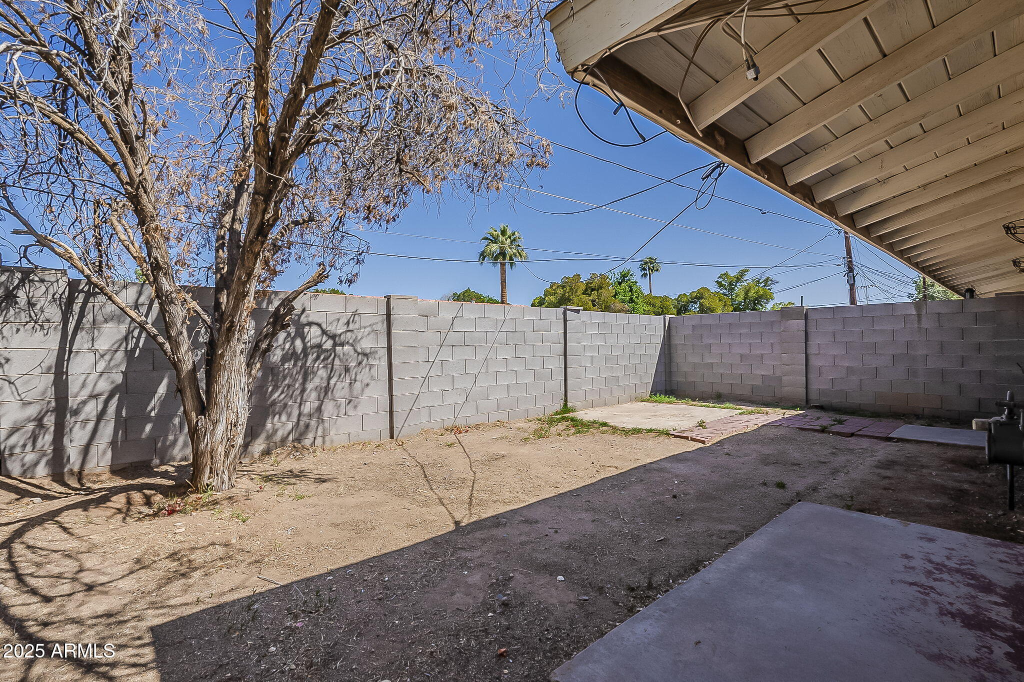 6225 North 10th Place Phoenix, AZ 85014 - Photo 25 of 32 a view of a backyard of the house