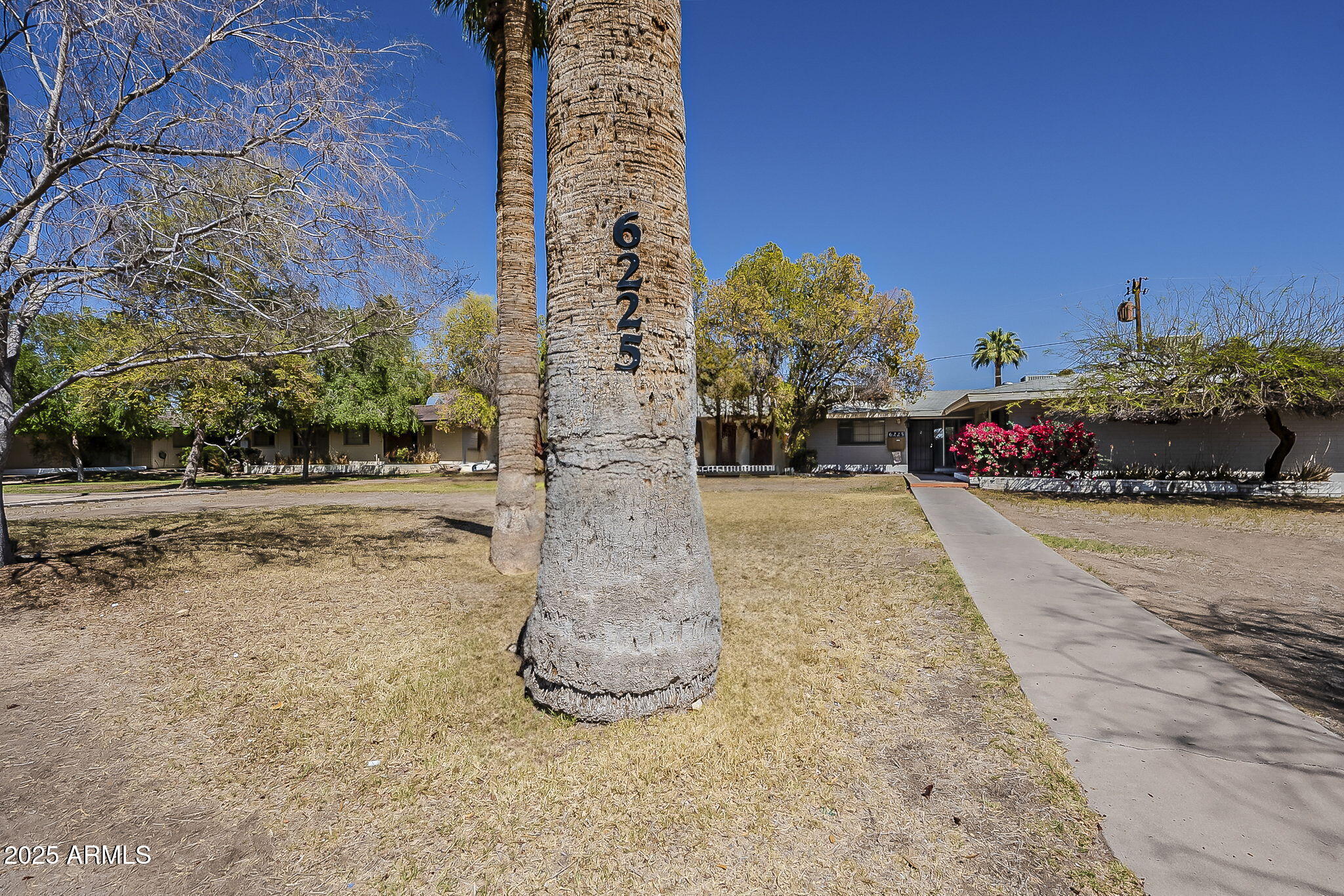 6225 North 10th Place Phoenix, AZ 85014 - Photo 31 of 32 a view of a street with large trees