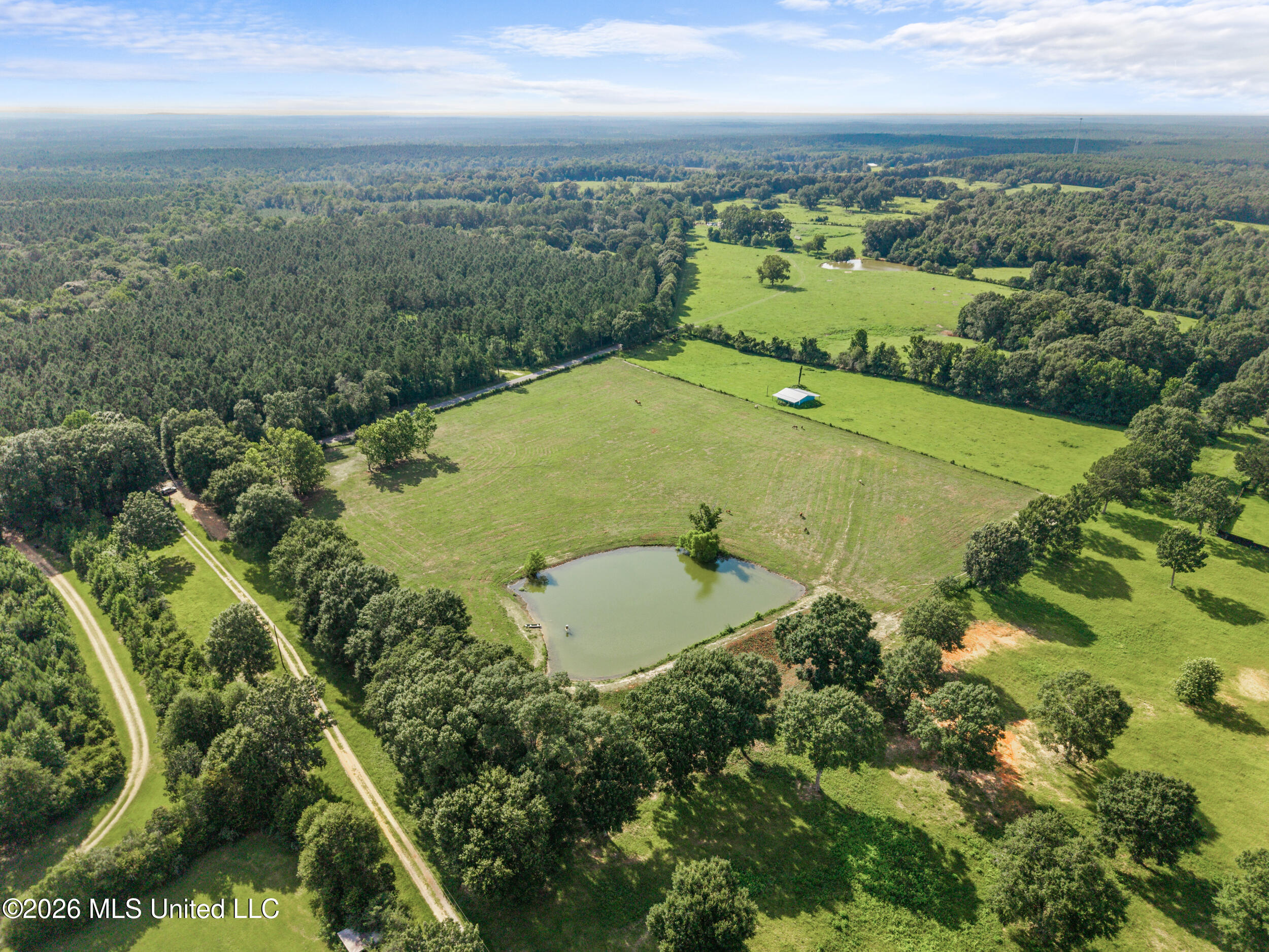 628 Baxterville Road Lumberton, MS 39455 - Photo 9 of 12 9_baxterville rd