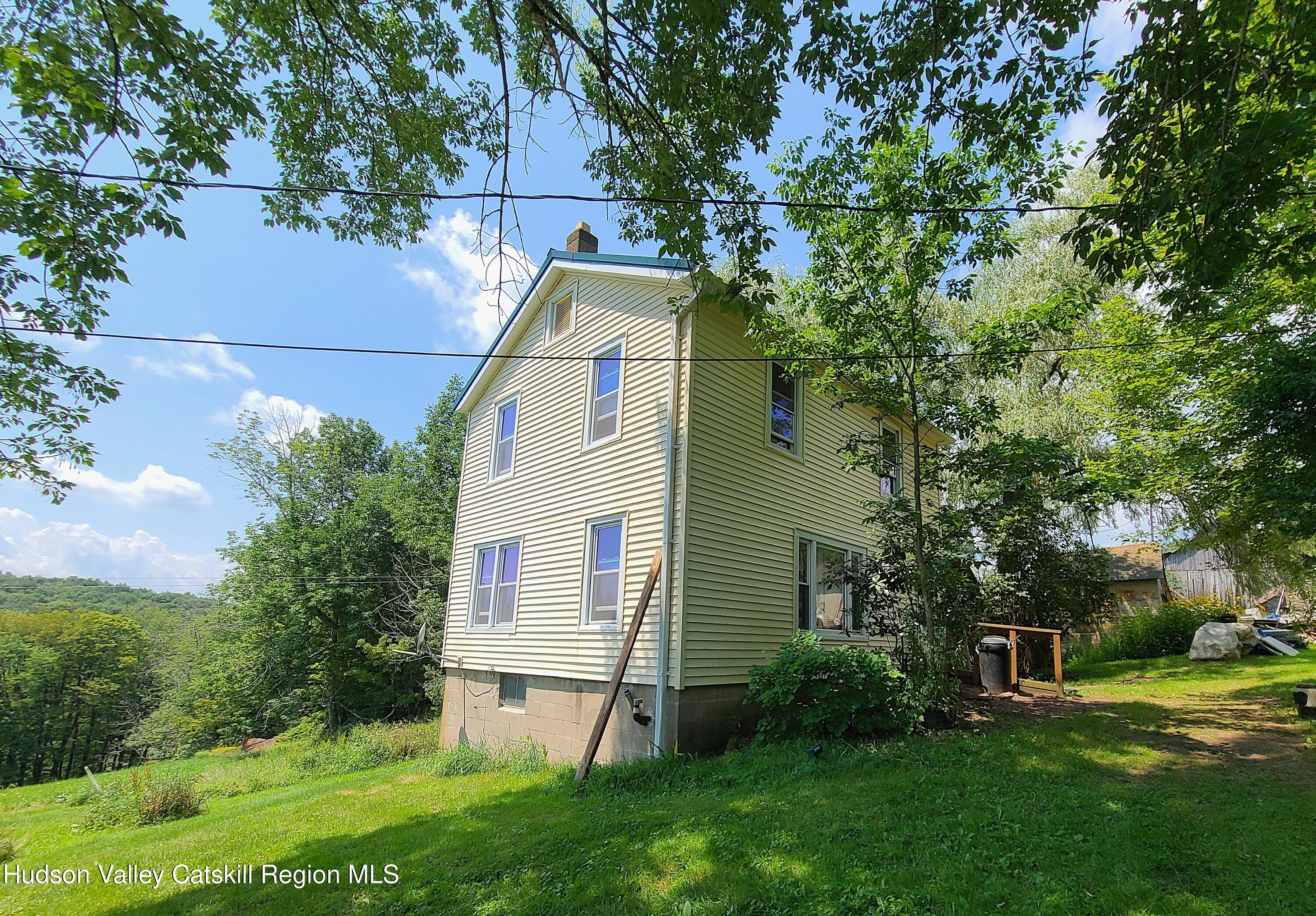 301 Stump Pond Road Livingston Manor, NY 12758 - Photo 12 of 49 20250730_125321 a