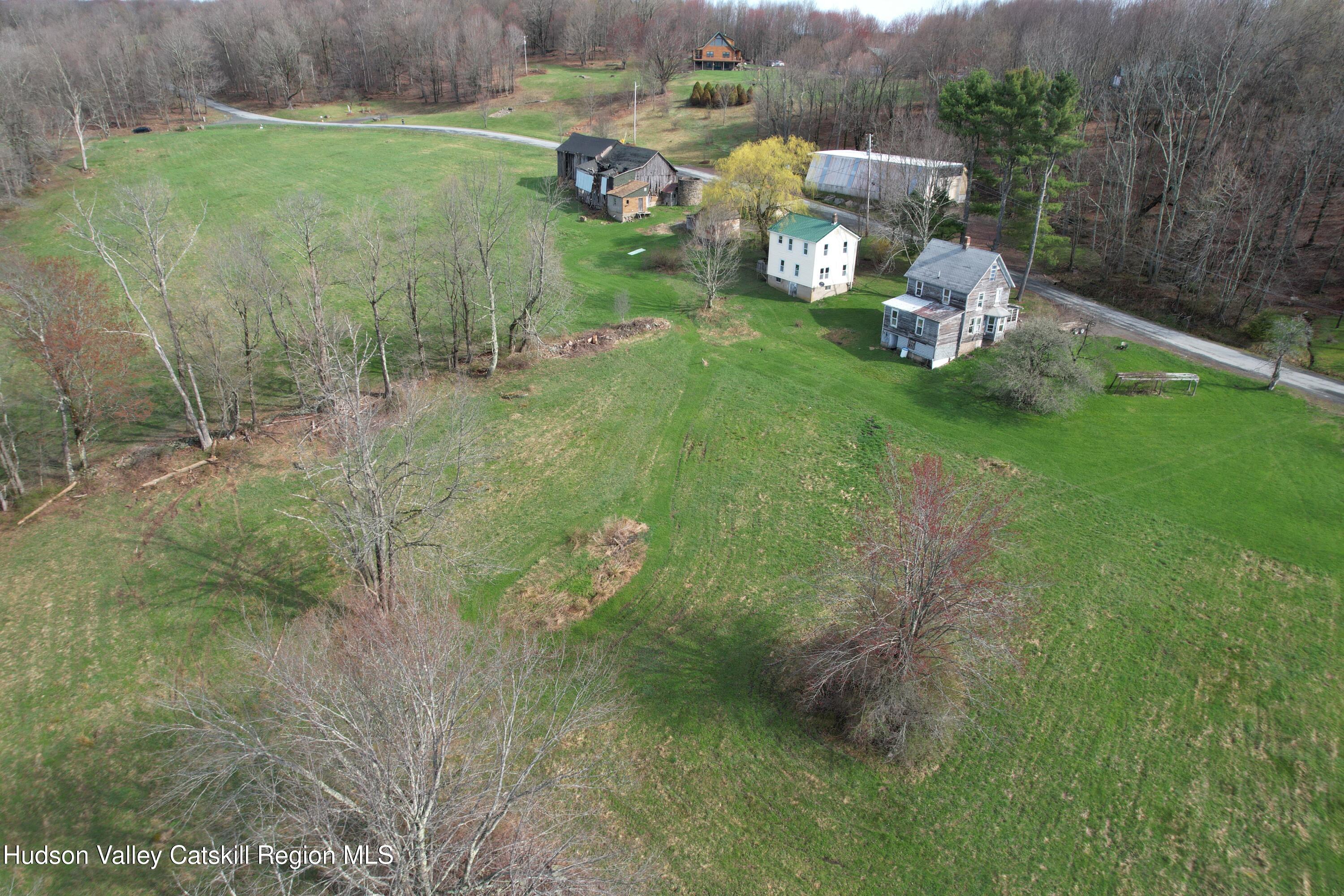 301 Stump Pond Road Livingston Manor, NY 12758 - Photo 2 of 49 DJI_0674