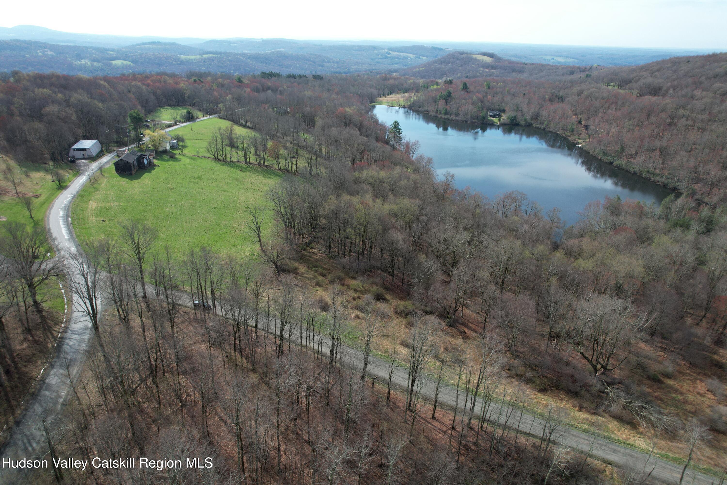 301 Stump Pond Road Livingston Manor, NY 12758 - Photo 3 of 49 DJI_0489