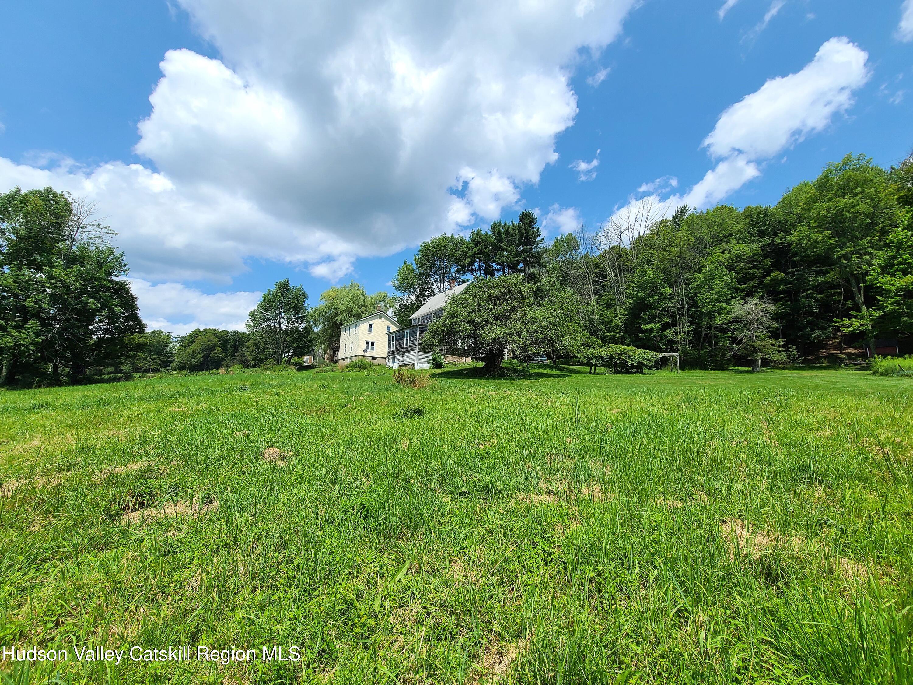301 Stump Pond Road Livingston Manor, NY 12758 - Photo 38 of 49 20250730_130517 a