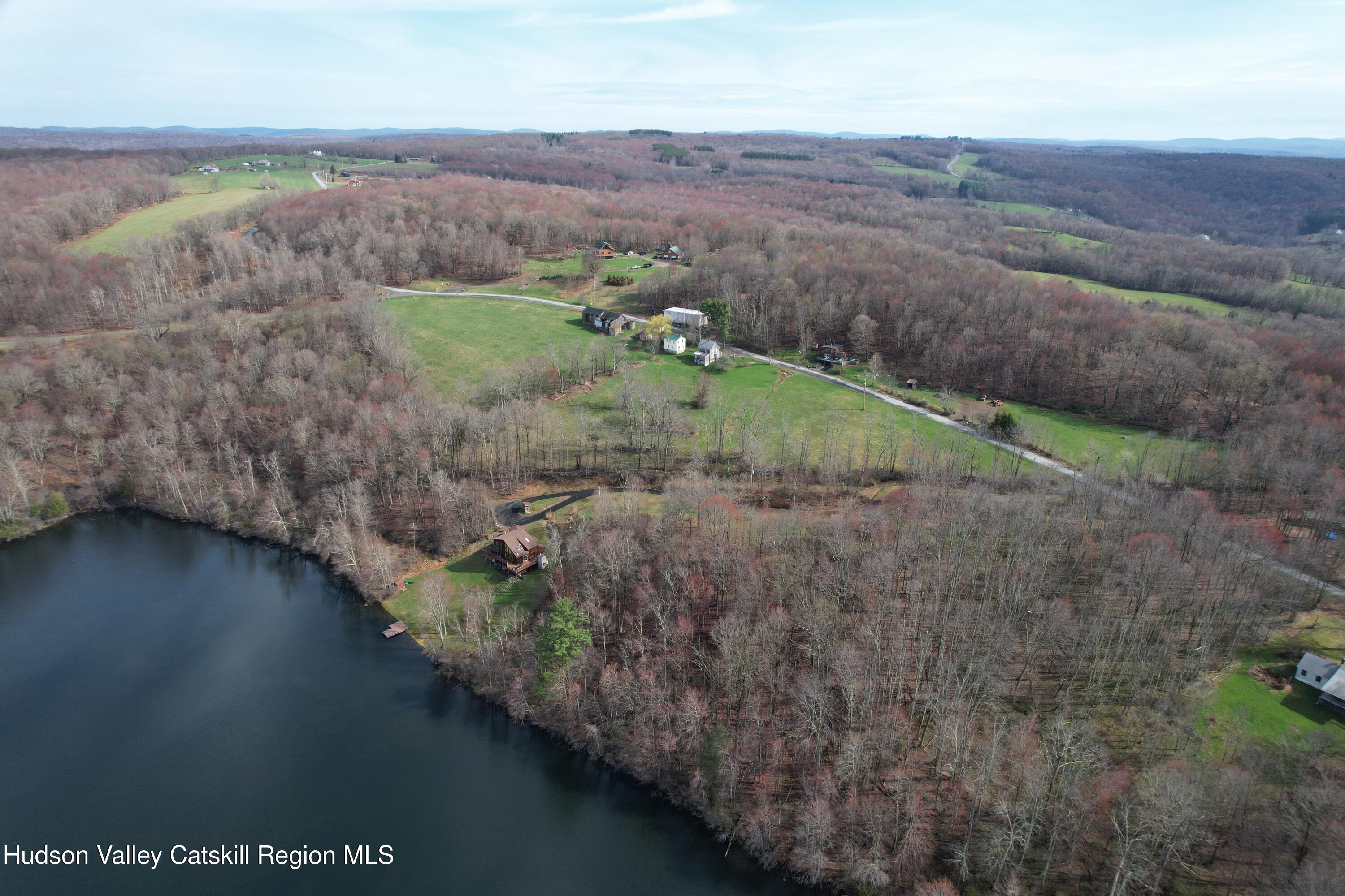 301 Stump Pond Road Livingston Manor, NY 12758 - Photo 4 of 49 DJI_0524