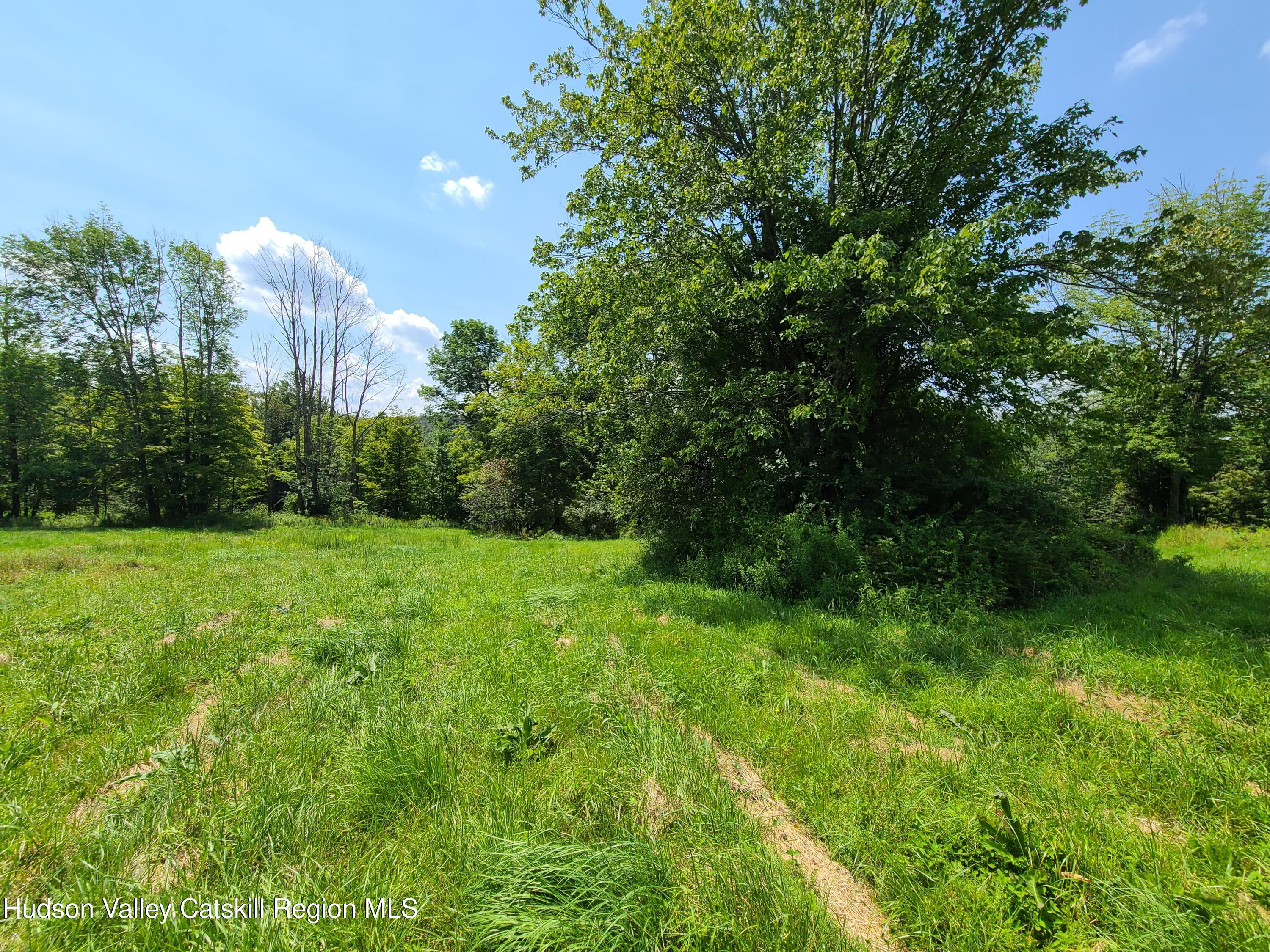 301 Stump Pond Road Livingston Manor, NY 12758 - Photo 42 of 49 a view of a green yard