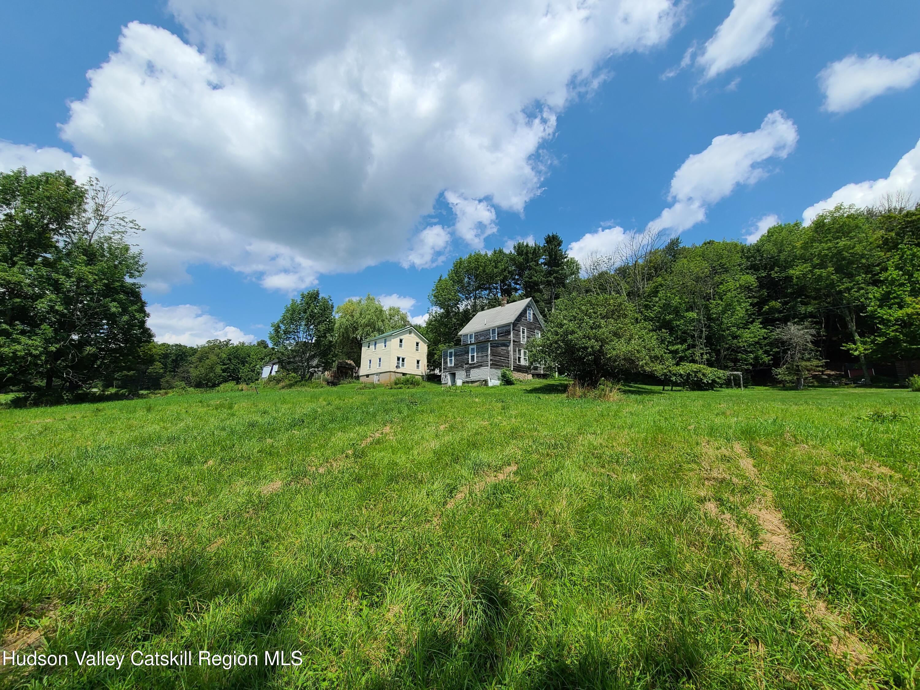 301 Stump Pond Road Livingston Manor, NY 12758 - Photo 6 of 49 Two homes one price