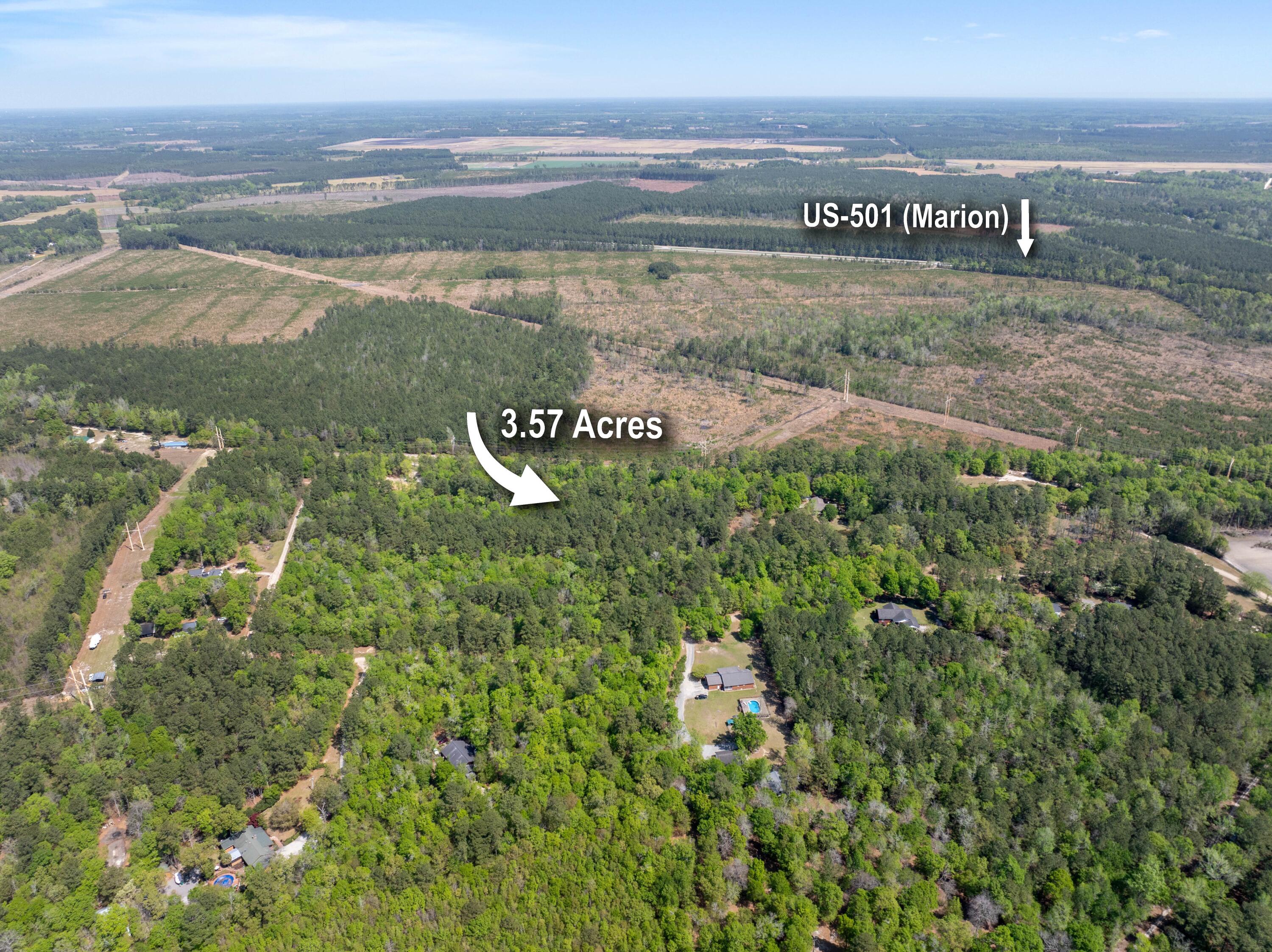 0 Forest Place Marion, SC 29571 - Photo 1 of 6