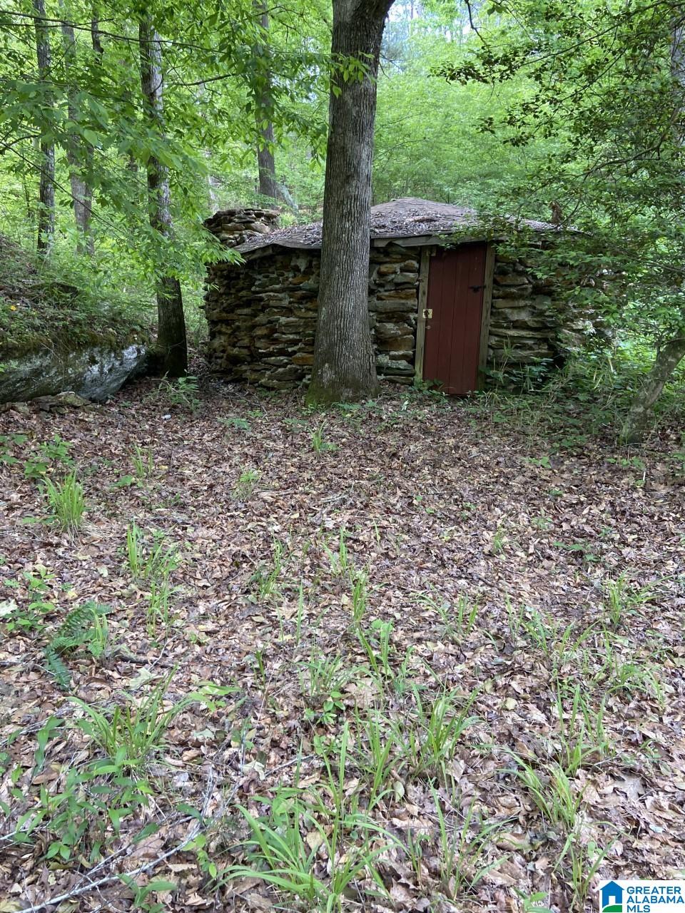 1894 Watts Mill Road Lineville, AL 36266 - Photo 22 of 23 Gallery Image 22