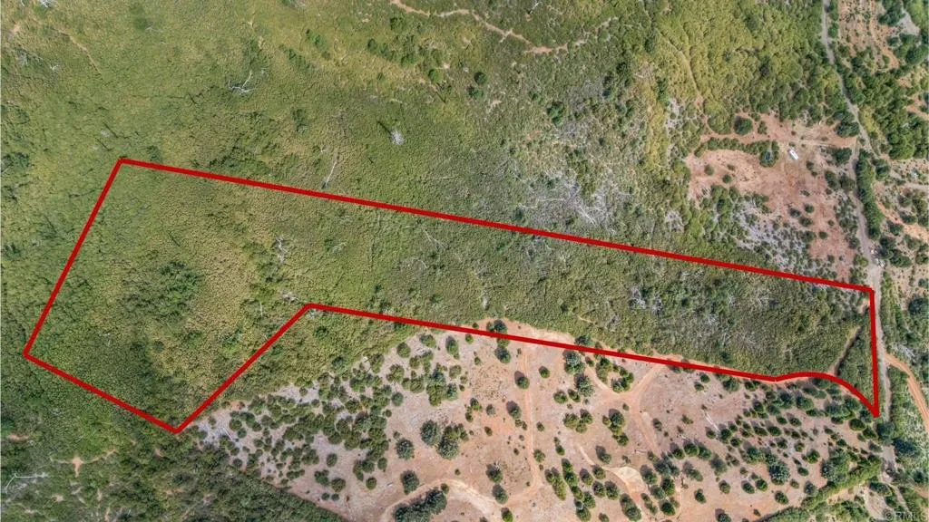 1234 Iron Springs Road Julian, CA 92036 - Photo 2 of 12