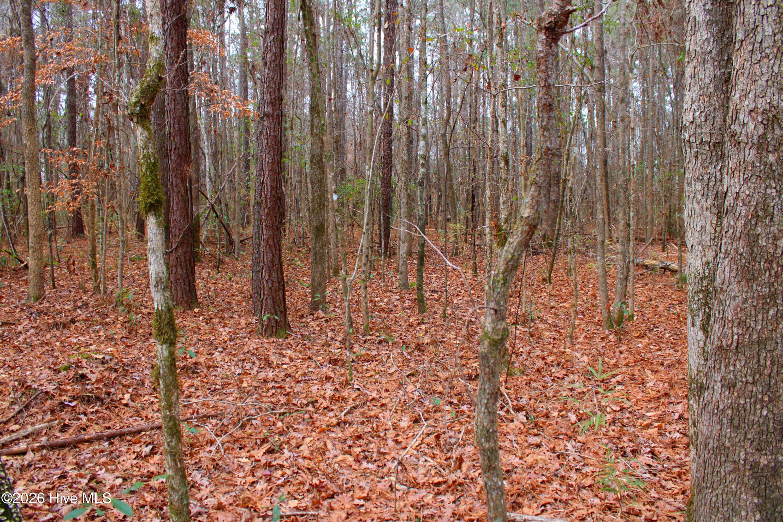 0 Old Pollocksville Road New Bern, NC 28562 - Photo 7 of 12 photo 8