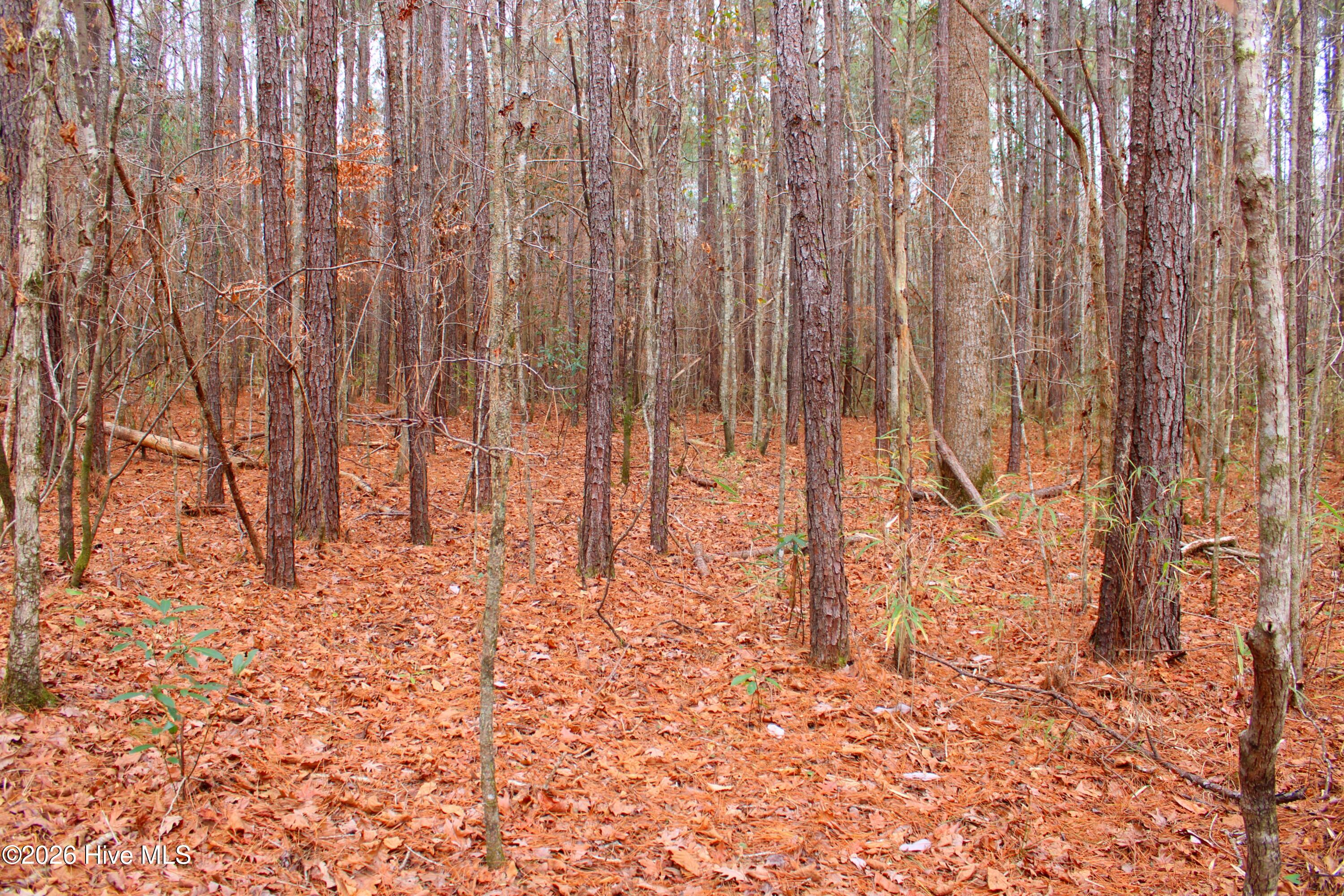 0 Old Pollocksville Road New Bern, NC 28562 - Photo 8 of 12 photo 9