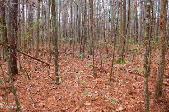 $29,900 | 0 Old Pollocksville Road, New Bern, NC 28562