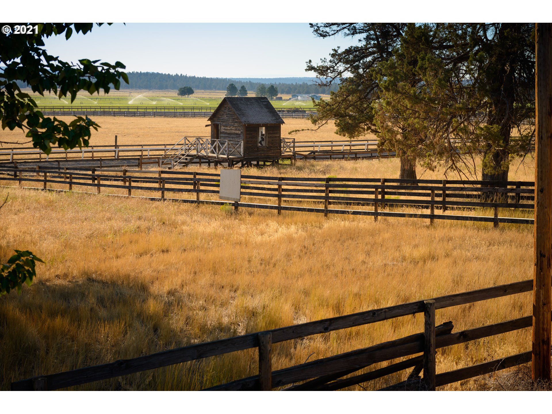 68760 George Cyrus Road Sisters, OR 97759 - Photo 8 of 31 Gallery Image 8