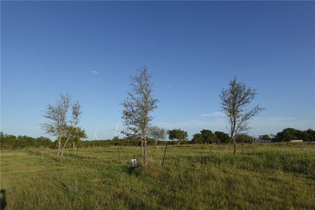 300 Lcr 300 Road Mart, TX 76664 - Photo 11 of 16