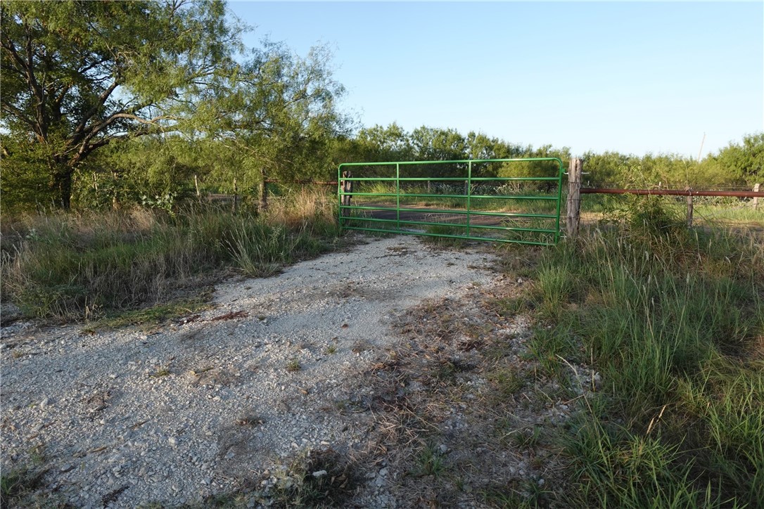 300 Lcr 300 Road Mart, TX 76664 - Photo 14 of 16
