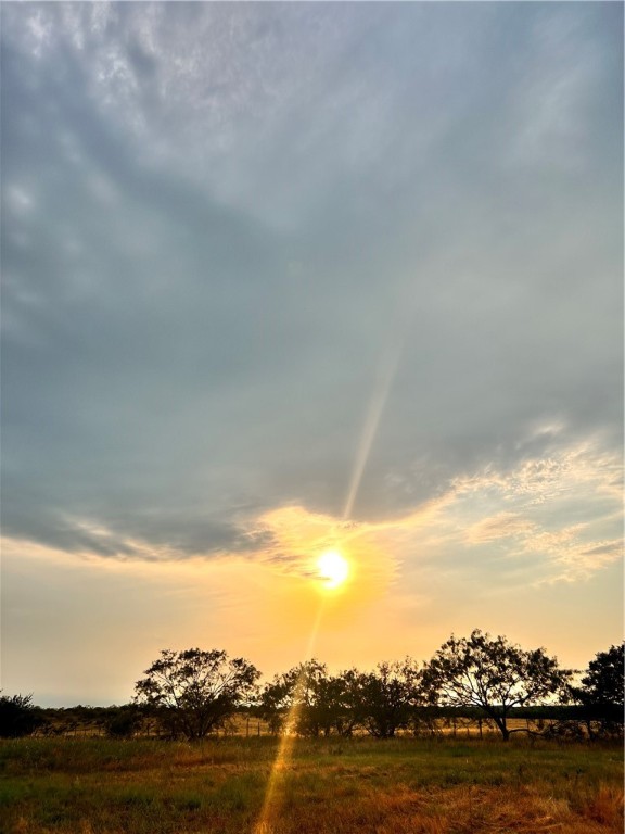 300 Lcr 300 Road Mart, TX 76664 - Photo 5 of 16