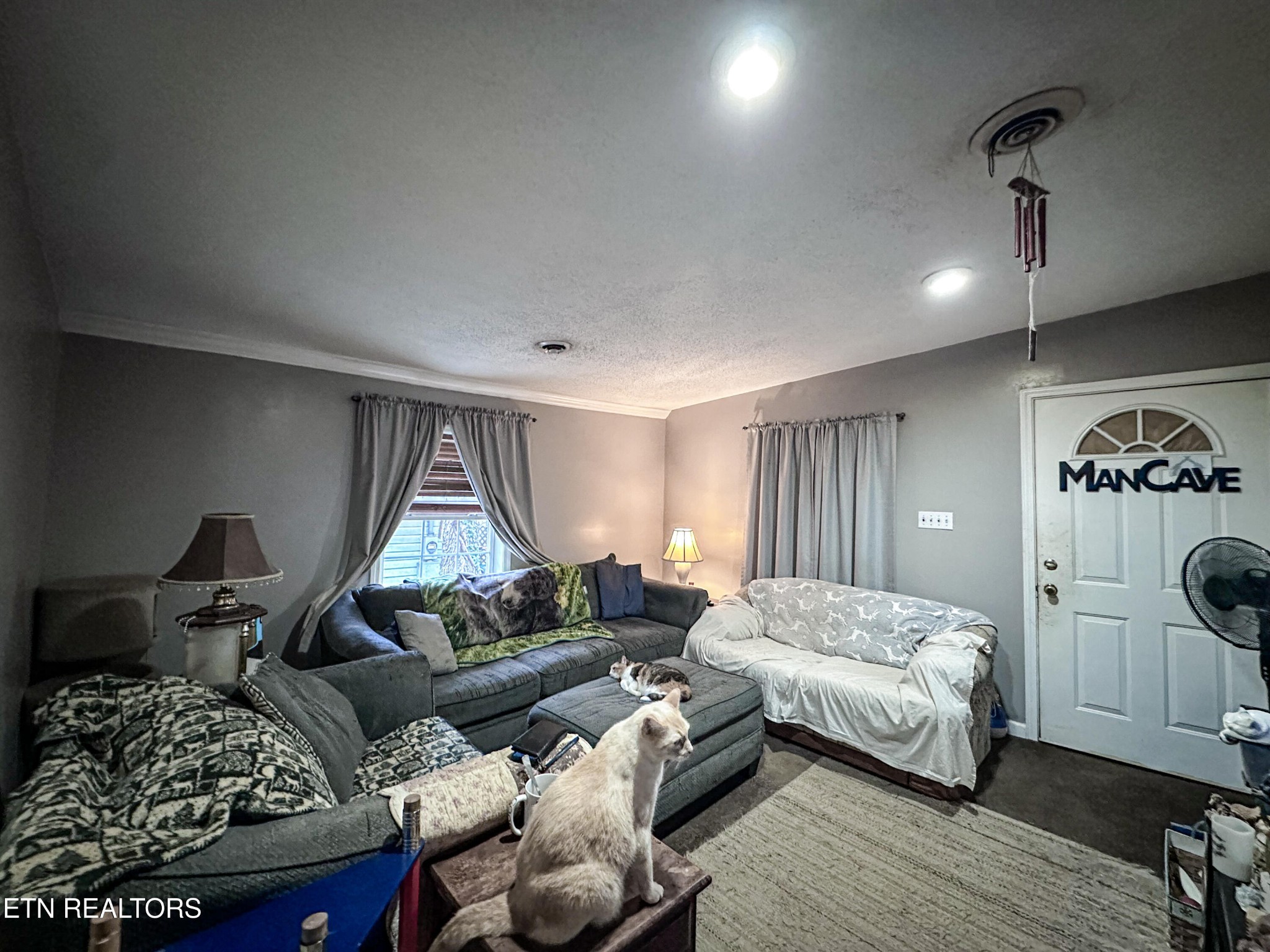 4308 Edington Road Knoxville, TN 37920 - Photo 3 of 17 Gallery Image 3